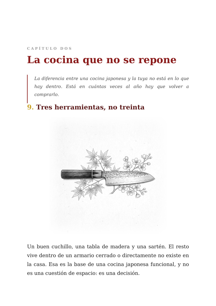 Página real del ebook sobre la cocina japonesa y el uso de pocas herramientas